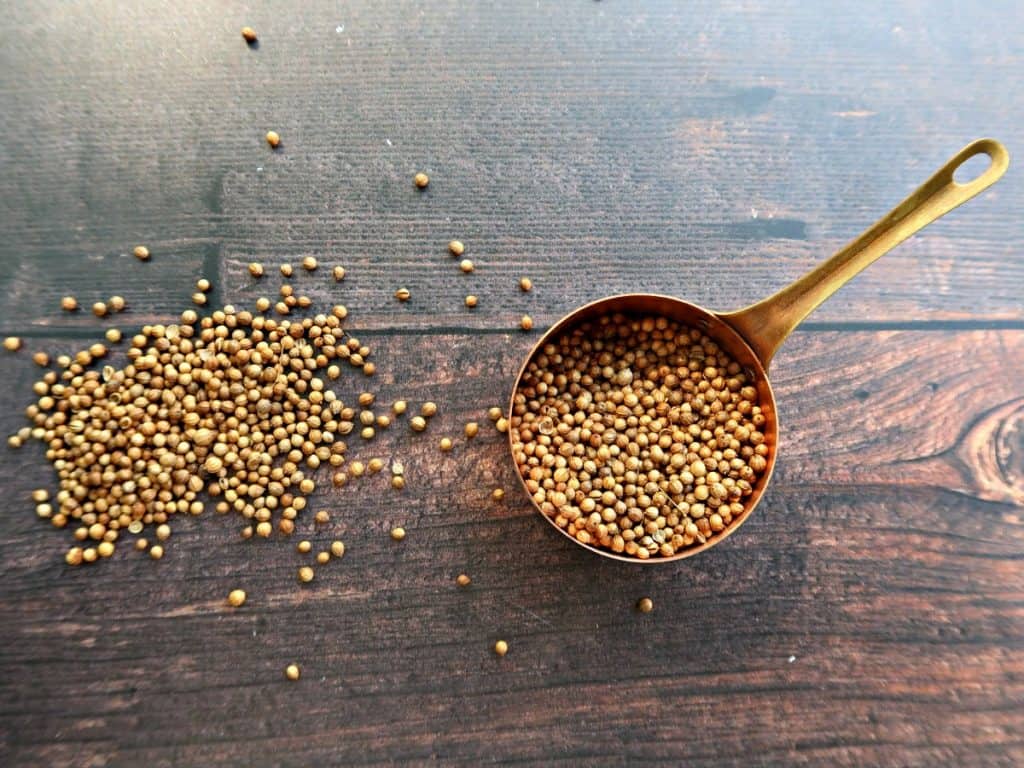 dried coriander seeds